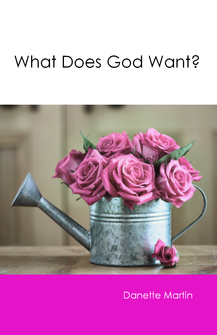 WHAT DOES GOD WANT Danette Martin - Click Image to Close